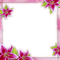 frame cadre flowers - PNG gratuit GIF animé
