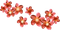 kikkapink deco scrap flowers red pink - png gratis GIF animado