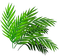 plant - PNG gratuit GIF animé