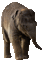 éléphant 3 - 無料のアニメーション GIF アニメーションGIF
