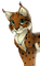 Lynx - png gratis GIF animado