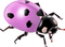 Kaz_Creations Ladybugs Ladybug - δωρεάν png κινούμενο GIF