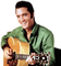 Elvis - zadarmo png animovaný GIF