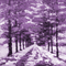 Y.A.M._Winter background purple - 無料のアニメーション GIF アニメーションGIF