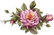 Kaz_Creations Flowers Flower - фрее пнг анимирани ГИФ