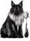 black cat by nataliplus - png gratis GIF animado