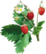 fresas - 免费PNG 动画 GIF