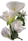 charmille _ fleurs - Δωρεάν κινούμενο GIF κινούμενο GIF