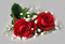 rosas - Ücretsiz animasyonlu GIF animasyonlu GIF
