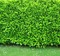 Gartenwand - gratis png geanimeerde GIF
