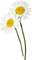 Цветы - zadarmo png animovaný GIF