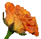 Flowers orange bp - Nemokamas animacinis gif animuotas GIF