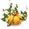 Kaz_Creations Halloween Deco - darmowe png animowany gif