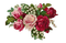 Vintage Roses - Free PNG Animated GIF