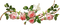 Ramas de rosas rosadas - PNG gratuit GIF animé