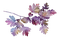 lila - Free PNG Animated GIF