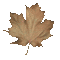 hojas otoño animadas  gif dubravka4 - Δωρεάν κινούμενο GIF κινούμενο GIF