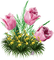 cvijeće - фрее пнг анимирани ГИФ