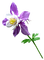kukka - nemokama png animuotas GIF