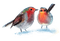Winter Birds - Free PNG Animated GIF