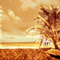 Brown Beach Background - Darmowy animowany GIF animowany gif
