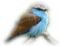 Birds bp - zadarmo png animovaný GIF