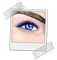 Eye Blue Violet Brown - Bogusia - 免费PNG 动画 GIF