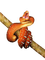 serpent - ilmainen png animoitu GIF