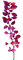 Kaz_Creations Purple Violet Scrap Deco - nemokama png animuotas GIF
