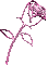 pink spinning rotating rose - Nemokamas animacinis gif animuotas GIF
