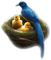 Birds - PNG gratuit GIF animé