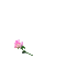 Heart of Roses - 無料のアニメーション GIF アニメーションGIF