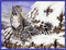 panthere des neiges - Ingyenes animált GIF animált GIF
