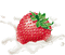 strawberry erdbeeren fraises