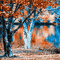 soave background animated autumn forest  tree - GIF animé gratuit GIF animé
