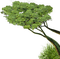 tree katrin - 免费PNG 动画 GIF