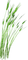 Blé Vert:) - безплатен png анимиран GIF