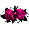 Gothic.Roses.Black.Pink - PNG gratuit GIF animé