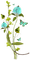 cecily-fleurs - безплатен png анимиран GIF