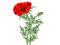 Цветок - δωρεάν png κινούμενο GIF