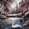 kikkapink autumn background swan lake - Bezmaksas animēts GIF animēts GIF