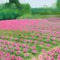 Rose Garden - png gratuito GIF animata