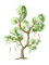Arbre ** - Free PNG Animated GIF