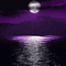 moon purple bg lune violet bg gif