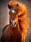 caballo - Bezmaksas animēts GIF animēts GIF