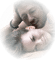 couple - 免费PNG 动画 GIF