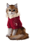 Cat Winter chat hiver - png grátis Gif Animado