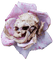 skull flower - gratis png geanimeerde GIF