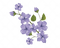 blommor--lila--flowers-purple - ücretsiz png animasyonlu GIF