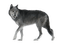 wolf - darmowe png animowany gif